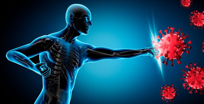 Strengthen Your Immune System